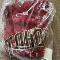 Item thumbnail for item a74579b1-202c-4970-8e55-e5868688501b