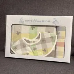 ディズニー　今治タオル　出産祝い