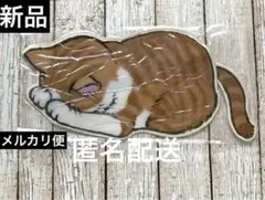 【新品】 アーティミス ごめん寝D ペンケース 茶トラ 猫 ねこ