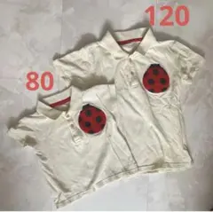 INSECT COLLECTION ポロシャツ お揃い80 120