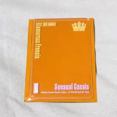 Item thumbnail for item be23efee-f1dc-4918-b271-816501f05517