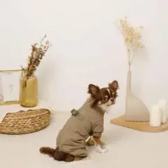 Item thumbnail for item c48ad0c1-6379-416f-a90f-38f0e8d4e6dd