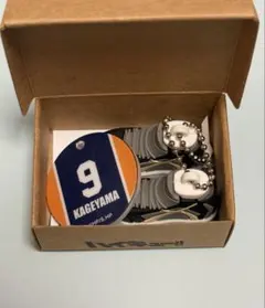 ハイキュー!! ミニチュアシューズコレクション 影山飛雄