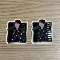 SEVENTEEN セブチ ウォヌ ステッカー