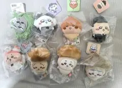 ちいかわ ハチワレ うさぎ ハロウィン 仮装 秋 季節 マスコット ぬいぐるみ