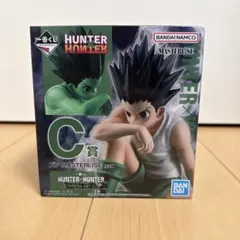 一番くじ ハンターハンター C賞 ゴン フィギュア