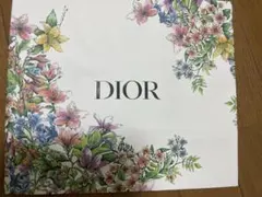 Dior ディオール　ショップ袋