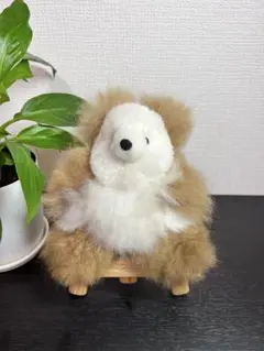 清泉寮 やまね工房 白樺の巣×ぬいぐるみセット - メルカリ