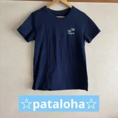 Patagonia パタゴニア ハワイ限定　パタロハ　Tシャツ　コットン100%のサムネイル
