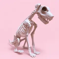 【新品未使用】スケルトンドッグ ハロウィン インテリア 犬