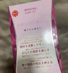 MENARD スタイルアシスト 4箱セット値下げ不可 数量限定 - メルカリ