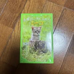 Item thumbnail for item 80c4defa-042b-4dee-a014-af4fca7d784b