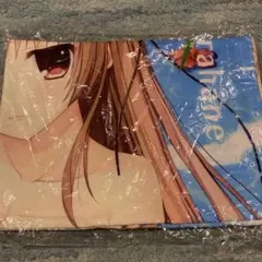 白羽優理 リゾートタオルケット 春音アリス*グラム C92