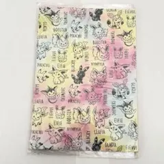 2025年最新】ポケモン イッツデモ クリアファイルの人気アイテム