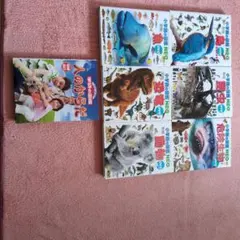 Item thumbnail for item c3b44ff2-bd80-49c8-9aad-82fd91e98f47