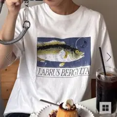 CIAOPANIC TYPY レトロ魚TEE チャオパニックティピー Tシャツのサムネイル