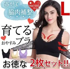 【Lサイズ 2枚セット】育てるナイトブラ 脇肉補整 育乳 おやすみブラ 6色