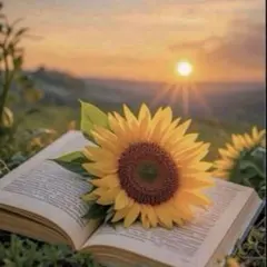 お天気太郎様 リクエスト 2点 まとめ商品