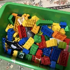LEGO Duplo たのしいどうぶつえん 中古品