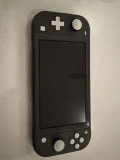 【美品】switch lite グレー　カバー付き