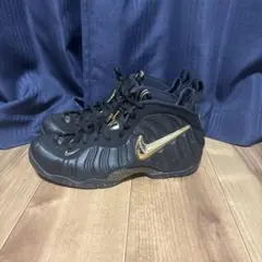 Nike Air Foamposite Pro