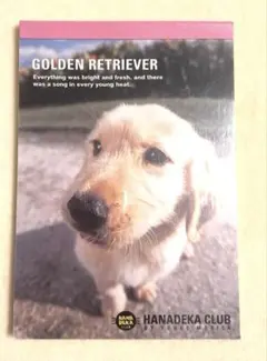 Item thumbnail for item 93698d65-a372-479b-9769-0cc07f31ba0a