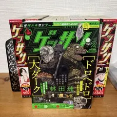 ゲッサン 2022年 9月号 大ダーク 表紙 ドロヘドロ 作者 林田球 - メルカリ