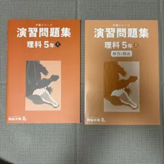 Item thumbnail for item 575020eb-4a35-46fe-81cc-a3432e254d35