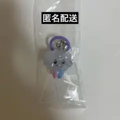 TRUZ めじるしアクセサリー SOM