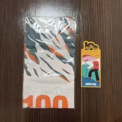 槍ヶ岳山荘 100周年記念 手ぬぐい - メルカリ