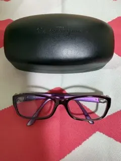 Salvatore Ferragamo メガネフレーム　ケース付き