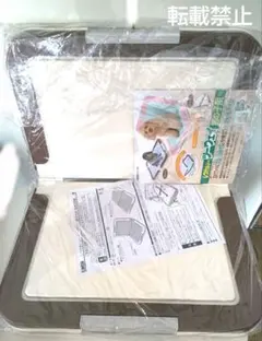 Item thumbnail for item 3063e189-4214-4a80-b3a4-f8f097ed6218