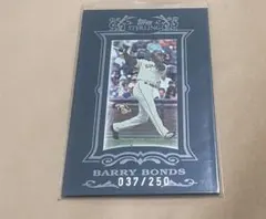 Item thumbnail for item 698a6fdd-c99a-4e82-a96d-a1abd5e59776