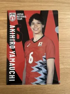 2026年最新】バレーボール日本代表クリアファイルの人気アイテム