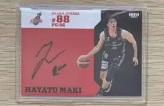 Item thumbnail for item d6706761-145f-4139-8fb7-bf36d00dda8f