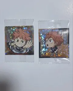 ハイキュー ごみ捨て場の決戦　日向翔陽　排球レア・極