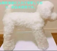 トリミング練習 トリミング トリマー ウィッグ 犬体 プードル教材用