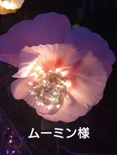 ムーミン様専用