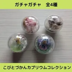 こびとづかんカプリウムコレクション【全4種】セットです！