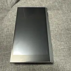 Astell&Kern AK PD10 別売りレザーケース付き - メルカリ