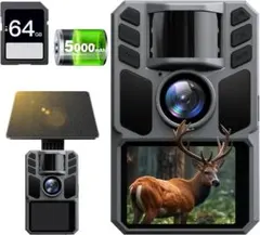 Item thumbnail for item fccf94d8-0eec-4490-a857-4c431f7d30c6