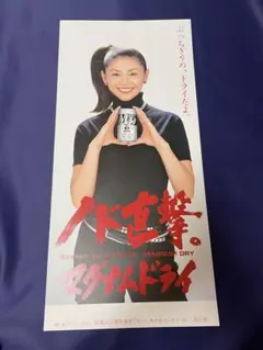 【非売品】サントリー マグナムドライ 小泉今日子 販促ポスター 短冊ポスターのサムネイル