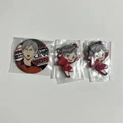 ハイキュー リエーフ 缶バッジ ラバーマスコット クリアカード クリカ セット