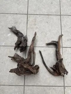 水槽用流木 3点セット