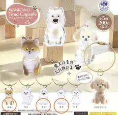 わんこのタイムカプセル ３種セット