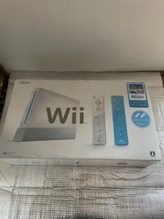 Nintendo Wii RVL-S-WABG