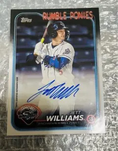 Item thumbnail for item 5965e037-0c6a-444d-9d55-17e5c168697c