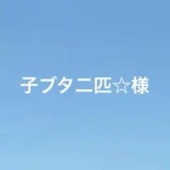 子ブタ二匹☆様専用のサムネイル