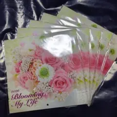 FMG MISSION 2026年 カレンダー＋オマケあり