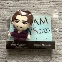 DREAM BOYS 2023 ぬいぐるみ 渡辺翔太 ドリボ